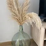 Terreta De Denia
