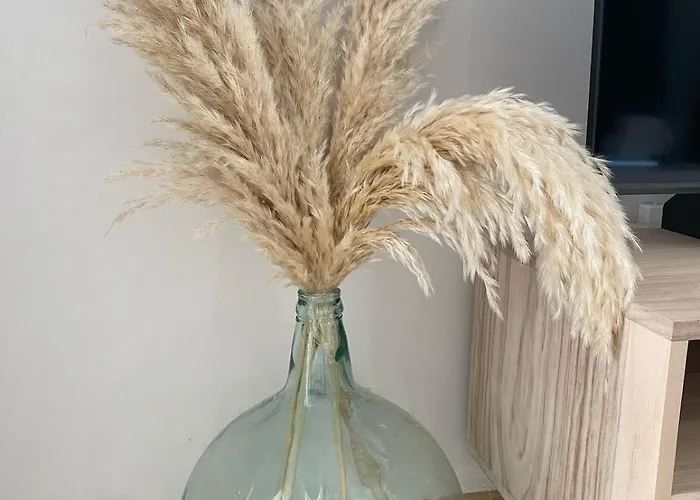 Terreta De دينايا